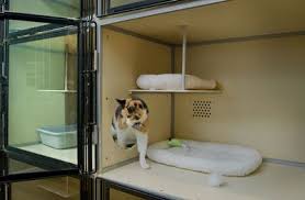You can see how to get to stone mountain pet lodge, baltimore on our website. Stone Mountain Pet Products Cat Condos Lodging And Pet Boarding Cat Condo Pet Boarding Cat Kennel
