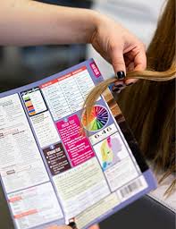 cosmetology chart cheat sheet for hair stylists students educators laminated spill proof tear proof 8 5 x 11 six pages includes information on