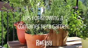 Want to grow your own herbs outside? Tips For Growing A Container Herb Garden Rootsy Network