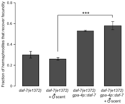 Our 12v direct power design provides better temp control, greater pellet fuel economy and faster startups! Sex Pheromones Of C Elegans Males Prime The Female Reproductive System And Ameliorate The Effects Of Heat Stress