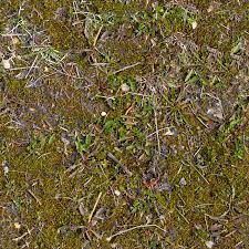 Forest floor texture roller sleeve. Texturen