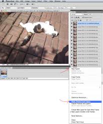 If you're a mac user that still has imovie 9.0 and don't feel like downloading separate software to get screen captures then this is the tutorial for you. How To Make Animated Gifs Using Vlc Photoshop Mac Os Turbofuture