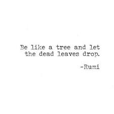 Rumi Quotes On New Beginnings Google Search Words Quotes Inspirational Quotes Inspirational Words