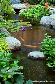 Image result for garden pond ideas