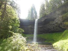 Silver falls state park is a state park in the u.s. Silver Falls Campground Nature Loop Trail Oregon Alltrails