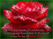 Image result for rose day 2020