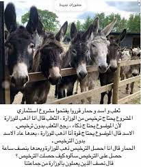 pin by خالد العبدالجليل on طرائف و إبتسامات in 2021