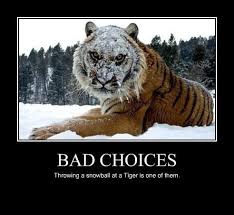 Bad Choices Motivation Poster Funny Animal Memes Funny Animals Funny Animal Pictures