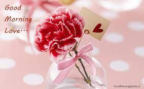 Good Morning Beautiful Flowers Pictures Lovely Flowers Wallpaper Beautiful Flowers Pictures Good Morning Beautiful Flowers