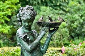 Certain plants will draw more of these birds to your yard. Attract Birds In Your Garden