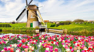 Toda la información de la selección de holanda fundada en el año 1889. Holanda 1080p 2k 4k 5k Hd Wallpapers Free Download Wallpaper Flare