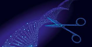 Rna processing rna serves a multitude of functions within cells. Detailansicht Molecool Ch Molecool Kosmos Rna