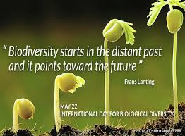 Hari klub wanita internasional 27 maret : Sambutan Hari Biodiversiti Antarabangsa Sentiasa Panas