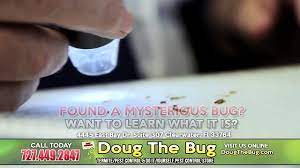 Disinfecting and pest control services (7342). Doug The Bug Termite Pest Control Do It Yourself Pest Control Store 727 449 2847 Video Dailymotion
