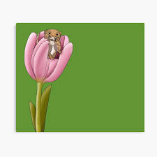 Hpj688 (rm) a small harvest mouse on ears of grain. Field Mouse In Flower Photographic Print By Rinasaga Redbubble