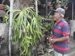 Gambar gotong royong di rumah kartun memang akhir akhir ini sedang banyak dicari oleh pengguna disekitar kita salah satunya anda. Kampung Kumuh Dan Langganan Banjir Itu Kini Hijau Dan Kaya Sumber Air Matakota News