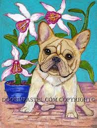 French Bulldog And Orchid French Bulldog Bulldog Bulldog Clipart