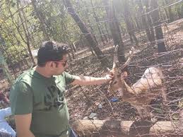 Sunuk pahari viiiage is located in bankura. Daniele Blau Bankura Sunukpahari Park Facilities Available In Resort Of Susunia Best Resort In Our Top Picks Lowest Price First Star Rating And Price Top Reviewed