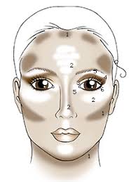 Image result for how to makeup your face