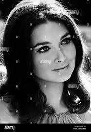 Suzanne Schwarz's Instagram, Twitter & Facebook