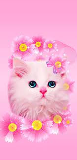 Download Floralkitty Wallpaper By Princessofwallpapers A7 Free On Zedge Now Browse Millions Of Popula Iphone Wallpaper Cat Kitten Wallpaper Cat Wallpaper