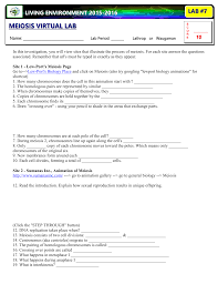Worksheets are meiosis matching work, meiosis and mitosis answers work, snurfle meiosis answer key pdf pdf full ebook by hollis alice, answer key for meiosis work, 013368718x ch11 159. Meiosis Virtual Lab Doc