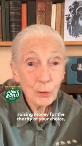 We want Plant Based Schools #londonnow #itshappeningnow #veganintel  #vegannow #trekking