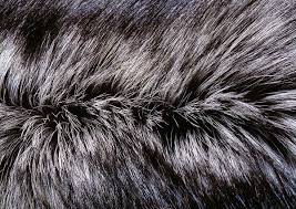Pin By Camille Maugendre On Animaux Fur Textures Fur Background Texture Images