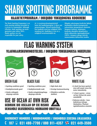 High white shark activity in False Bay - Save Our Seas Foundation