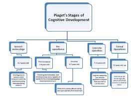 Jean Piaget Stages Cognitive Development Jean Piaget