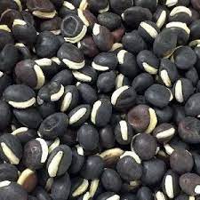 This is the phenomenon that started people talking about the bucks on the tecomate ranch. Dolichos Lablab Seeds Buy Dolichos Lablab Seeds Delhi India From Farmers Agri Services