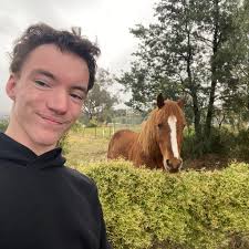 What are the reasons for snail death in aquariums?