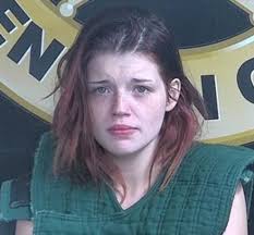 Attorneys for Erica Lawson File Change Of Venue Motion Saying News/Social  Media Coverage Doesn't Afford A Fair Trial