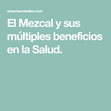El Mezcal Y Sus Multiples Beneficios En La Salud Mezcal Salud Beneficios