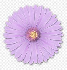 Touch device users, explore by touch or with swipe gestures. Res Light Purple Flowers Png By Hanabell1 D6l6mwr Png Light Purple Flower Png Free Transparent Png Clipart Images Download