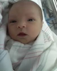 Aurora Lily Greene's Story