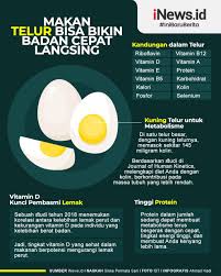 Mengingat telur adalah salah satu makanan yang termasuk ke dalam menu makanan untuk menjaga kesehatan mulai sekarang, sebaiknya olah telur dengan cara yang lebih baik, misalnya direbus atau cara lain. Jumlah Kalori Telur Rebus Kami