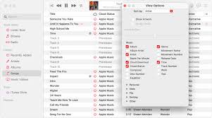 Apple music is a streaming service that allows you to listen to over 90 million songs. Identify Cloud Status Icons In Your Music Library On Your Mac Or Pc Apple Support
