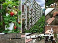 Maybe you would like to learn more about one of these? Garden Diy Ideas Pictures Photos Images And Pics For Facebook Tumblr Pinterest And Twitter