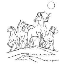 Dibujos De Caballos Para Colorear
