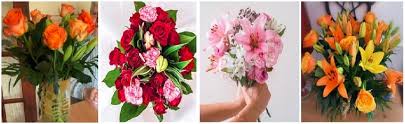 Check spelling or type a new query. The 6 Best Options For Flower Delivery In Scarborough Uk 2021