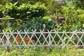 из чего можно сделать забор на даче своими руками 50 Idej Dlya Sooruzheniya I Oformleniya Krasivogo Zabora Na Dache Zhurnal Yarmarki Masterov Ozelenenie Zabora Klumby Fermerskij Zabor