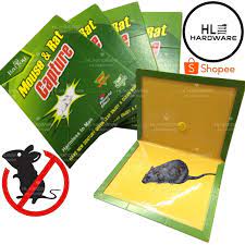 Maybe you would like to learn more about one of these? Mouse Rat Glue Trap Gam Perangkap Tikus Papan Getah Perangkap