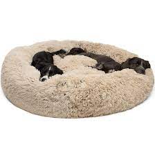 It is revolutionizing how much importance we place on the sleeping habits of our pets, as well as helping to tackle the rise of anxiety symptoms in dogs. Best Dog Beds Top Rated Dog Beds 2019 American Kennel Club