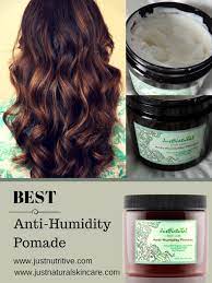 Anti Humidity Pomade Anti Frizz Hair Hair Frizz Anti Frizz Products