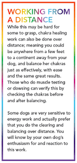 Healing And Balancing Your Dogs Chakras Animal Wellness