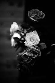Aesthetic Black And White Rose Wallpaper M O N O C H R O M A T I C M U S E Black And White Roses Black And White Aesthetic Black Rose Ring