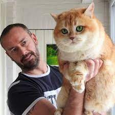 Check spelling or type a new query. Cattery History Sundust Cats