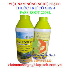 Pass root 200SL