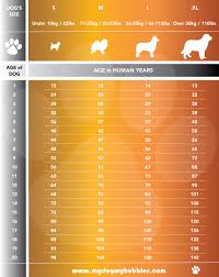 How to determine a dog's age? How Old Are You In Dog Years Cheap Buy Online